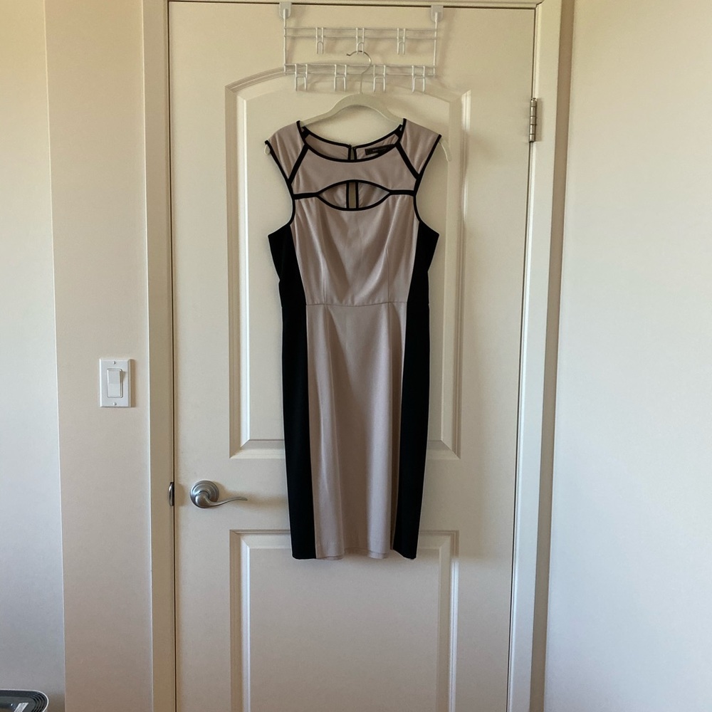 BCBG Business Dress
